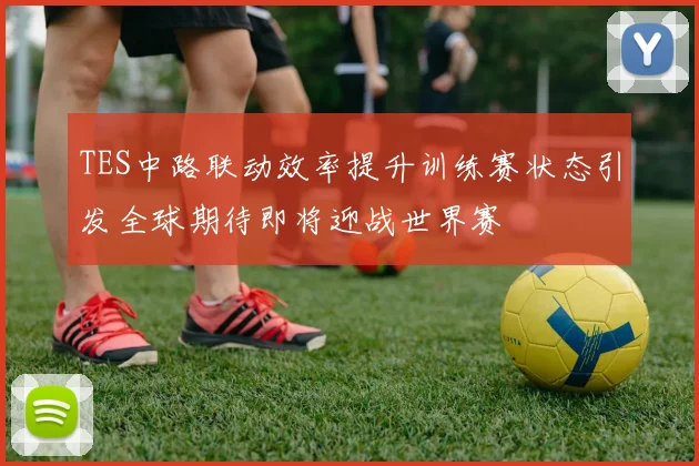 TES中路联动效率提升训练赛状态引发全球期待即将迎战世界赛