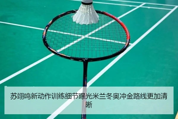 苏翊鸣新动作训练细节曝光米兰冬奥冲金路线更加清晰